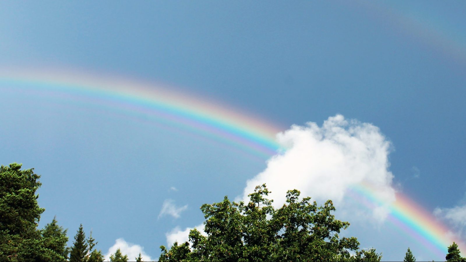 A rainbow behind a cloud, above some trees