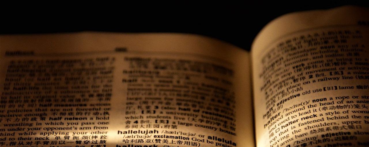A light being shone on an open dictionary